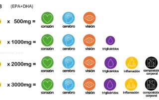 Omega 3 - mejor guia 2026